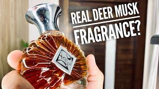 Areej Le Dore Russian Musk Fragrance Unboxing and First Impressions | Splash Fragrance India