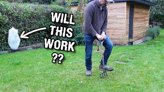 Amateur gardening - autumn 2023 garden jobs!