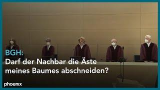 BGH: Darf der Nachbar die Äste meines Baumes abschneiden?