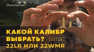 БИТВА КАЛИБРОВ I ЧТО ВЫБРАТЬ  22lr или 22 wmr? I РЕАЛИСТИЧНЫЙ ТЕСТ