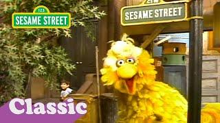 Big Bird Loves His Street Song | Sesame Street Classic