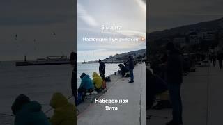 5 марта.Бум рыбаков#ялта#ялтакрым#крым#крым#крымялта#рыбалка#рыбаки#отдыхвялте#отдыхвкрыму#жилье