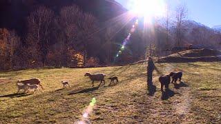 Hautes-Alpes : choisir de vivre librement dans les montagnes