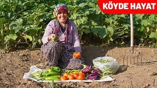 TEZEMİN ORMANIN İÇİNDEKİ SEBZE BAHÇESİNDEN MAHSÜL TOPLADIK | KÖYDE HAYAT | KÖYDE YAŞAM | KÖY HAYATI