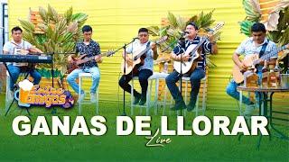 Ganas De Llorar / Entre Amigos (En Vivo) Karioko Producciones 