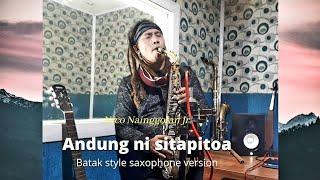 ANDUNG SITAPITOLA | Batak Style Saxophone Version | Cover by Nico Nainggolan