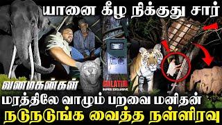 யானைக்கு நம்ம பேசுறது கேக்குதுநள்ளிரவில் இறங்கிய கொம்பன்துப்பாக்கியுடன் இறங்கிய வனத்துறை| Ep-2