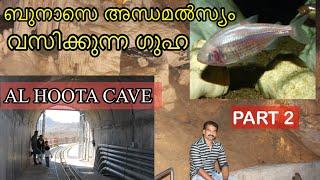 EXPLORING AL HOOTA CAVE ബുനാസെ BLIND FISH വസിക്കുന്ന ഒമാനിലെ ഒരു അത്ഭുത ഗുഹ, അൽ ഹൂത്ത cave