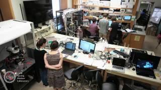 Ion Channel Course at Cold Spring Harbor Laboratory