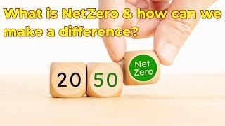 What is Net Zero & how can we make a difference?