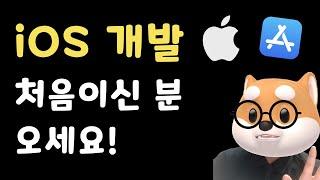 iOS 개발 처음이세요? 그럼 들어오세요! 초보를 위한 기초개념 정복