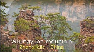 Wulingyuan mountain, Zhangjiajie , China / Горы Улинъюань в парке Чжанцзяцзе, Китай /  武陵源