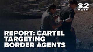 Loss of profits lead Mexican cartels to take action as border agents face new threats