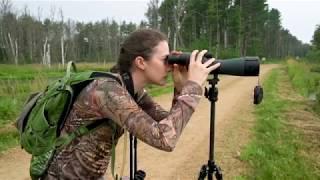 Kasey Stewart - Tracking whooping crane populations