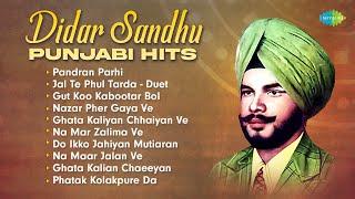 Didar Sandhu Punjabi Hits | Didar Sandhu Special | Punjabi Songs Playlist | New Punjabi Song 2023