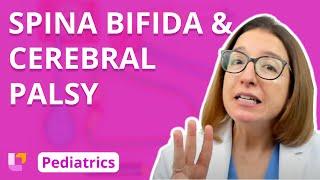 Spina Bifida, Cerebral Palsy - Pediatric Nursing - Nervous System Disorders | @LevelUpRN