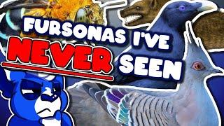 Top 10 Species I've NEVER seen as sonas - but would really like to!! [The Bottle Ep104]