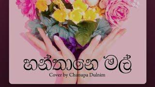 Hanthane Mal (හන්තානෙ මල්) Cover - Chanupa Dulnim