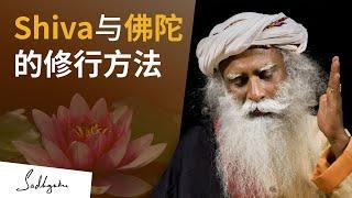 Shiva与佛陀的修行方法 | Sadhguru 萨古鲁