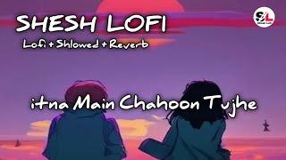 Itna Main Chahoon Tujhe | @SheshLofi ( Lofi +Shlowed + Reverb ) Alka Yagnik | Udit Narayan Song.