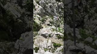 Gentleman Gipsy - Sentiero e Ferrata Passo della Porta, Massiccio della Presolana_12