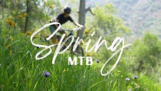 Spring Mountain Biking