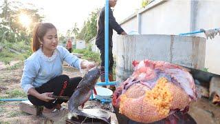 Country chefs: Yummy big catfish cooking with country style - Country food cooking