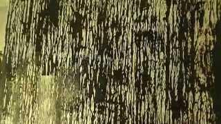 Tree Bark Wall Texture Painting Effect - Video 2