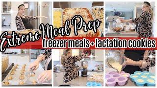 *NEW* EXTREME MEAL PREP // EASY FREEZER MEALS AND LACTATION COOKIES // TIFFANI BEASTON HOMEMAKING