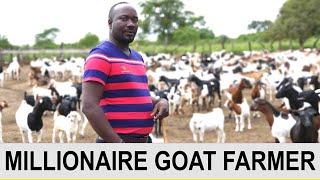 Meet Millionaire Goat Farmer Who Quit His Job to Start Goat Farming, Hamiisi Semanda