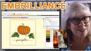 Mastering Embrilliance: How To Easily Change A Purchased Design For Beginners