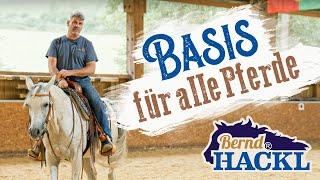 Die Basis für alle Pferde | Bernd Hackl erklärt! 
