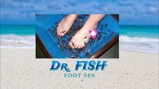 Fish Pedicure with Dr Fish