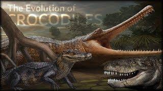 Evolution of Crocodiles 