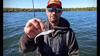 Mimic Jigs & Minnow-Style Plastics – Fishing with Jeff "Gussy" Gustafson