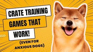 Crate Training Games That Work