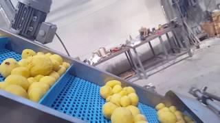 French fries production line