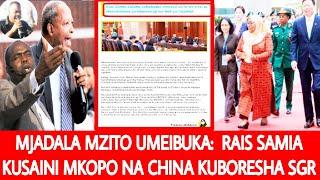 Dr SLAA:MJADALA MZITO UMEIBUKA RAIS SAMIA KUSAINI MIKOPO NA CHINA KUBORESHA RELI YA TAZARA#Tundulisu