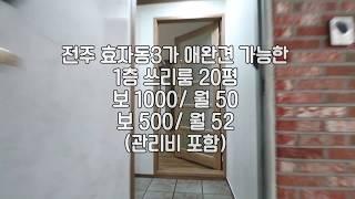 [전주애완견되는쓰리룸] 전주효자동쓰리룸 전주쓰리룸 전주효자동애완견되는쓰리룸 전주1층쓰리룸