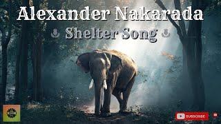 Alexander Nakarada - Shelter Song  RFM Library  Best Royalty Free Music 2020|#rfmlibrary