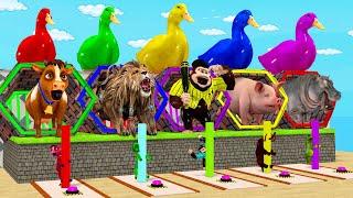 5 Giant Duck, Monkey, Piglet, chicken, dog, elephant, tiger, Transfiguration funny animal 2024