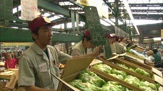 (6) 農作物がとどくまでにかかる費用【農業とわたしたちのくらし】