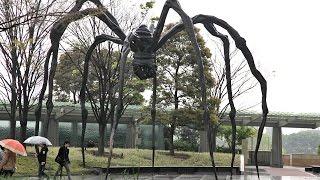 Maman - wielki pająk w Tokio / Big Spider in Tokyo