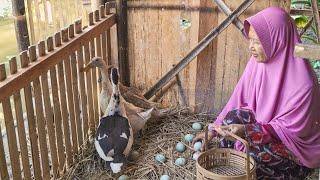 Masak untuk Anak Yatim/Piatu | Nasi Kuning Spesial dan Es Buah Segar | Kampung Halaman