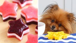 DIY Candy for Dogs(!!) | 4th of July Stars and Stripes Gummies | Homemade Dog Treats | DIY Dog Treat