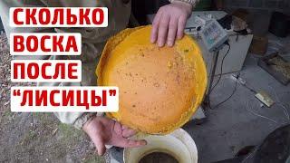 Перетопка воска Центрифуга и воскопресс Лисица  Мерва от Golden honey