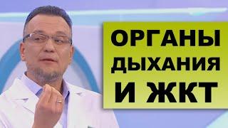 ЖКТ И ЗАБОЛЕВАНИЯ ОРГАНОВ ДЫХАНИЯ - Сюжет из программы "О самом главном на Россия-1"