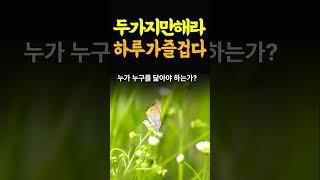 2가지만해라 하루가즐겁다 인생의지혜 인생조언 명언 삶의지혜 인간관계 중년의삶 인생명언 중년명언 오디오북 #명언 #좋은글 #지혜 #인생조언 #좋은글