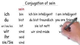 The verb 'sein' in the present tense