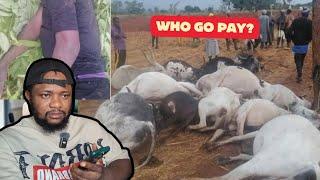 Wahala! Thunder Strikes & K!ii 20 Cows & Fulani Herdsman / Tinubu Nigeria